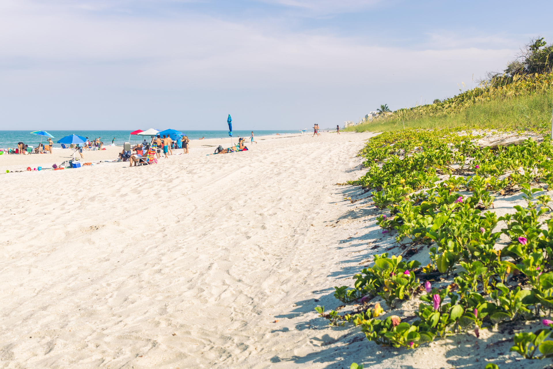 Beautiful Vero Beach coastline with white sand and native sea grapes - NHWA Accredited Home Watch Services